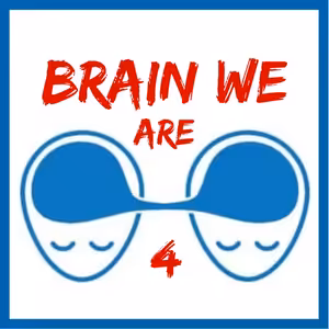 4: Zvyky, Rituály a Power of Habit