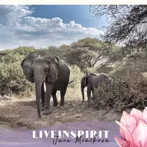 Naše neviditelné limity a proč je neprorazíme