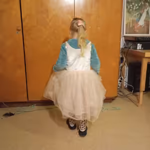 Princezna a přesvědčení zloději