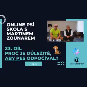 #23 Proč je důležité, aby pes odpočíval?