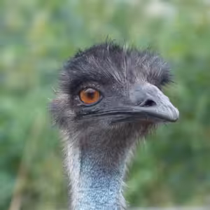 Štvrtok po 3. veľkonočnej nedeli