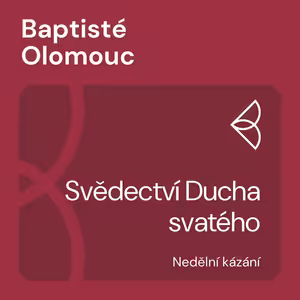 Svědectví Ducha svatého (16.10.2022)