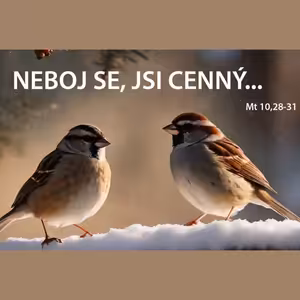Neboj se, jsi cenný... - Jindřich Novák (21.1.2024)
