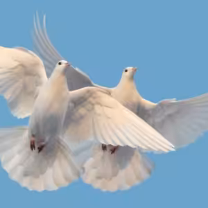 Bohu patří celý náš život