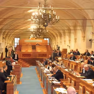 Ovládne Babiš senát, ztratí Láska klub a přibude dezinformátorů?