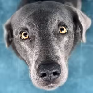 DO UCHA (Katarína Jurkovičová)