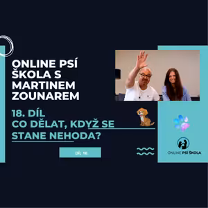 #18 Stala se nehoda aneb zkřížení dvou plemen