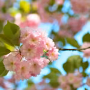 HOROSKOPY: Lvi, vaše nálady se rychle mění, setkáte se s úsměvy i hněvem