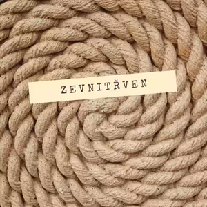 9. MŮŽU BÝT JÁ? ANEB JAK NÁS SVĚT UČÍ NASAZOVAT SI MASKY (zamyšlení)