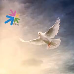 Novéna k Duchu Svatému - čtvrtý den