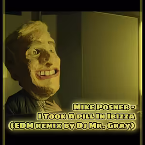 Mike Posner - I Took A Pill In Ibiza (EDM Remix By DJ Mr. Gray)