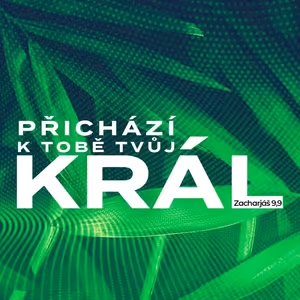 Přichází k tobě tvůj Král - Bohuslav Wojnar (10.4.2022)