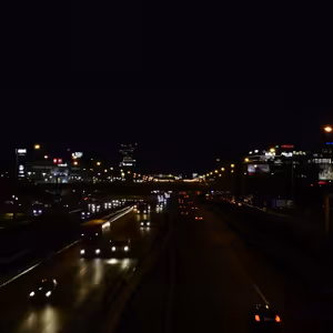 17.12 Rodokmeň. Strom.