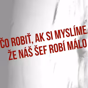 Čo robiť, ak si myslíme, že náš šéf robí málo - 95. časť Sprievodca Manažéra