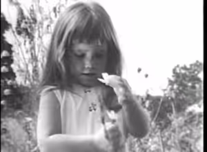 Epizoda 15: Volební rok, k prosperitě krok