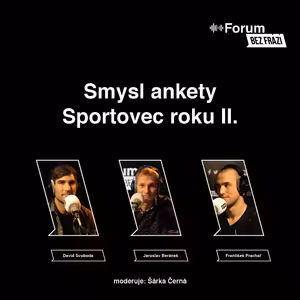 19: Smysl ankety Sportovec roku II.