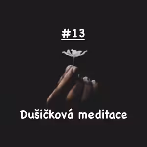 Dušičková meditace