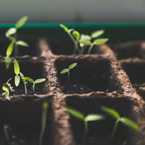 #77: Kouzlo pravidelného investování