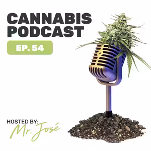 Interview with Martin Anker – SANlight CEO