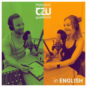 |33| ENG: Experience and Welcome!