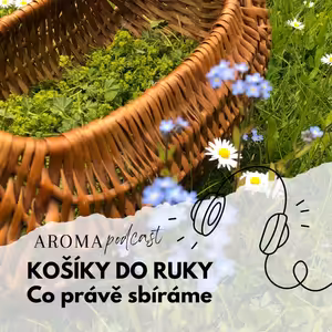#021 Košíky do ruky: co právě sbíráme