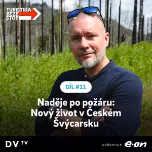 Před dvěma lety jen spáleniště na prach, dnes obdiv k tomu, co příroda dokáže. Jak se změnilo České Švýcarsko po požáru?