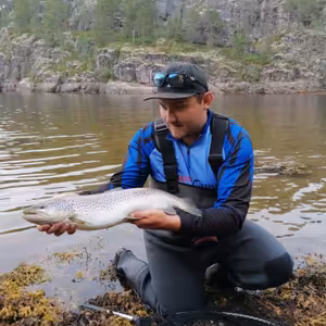 Co je to streamer a kdy po jakém sáhnout