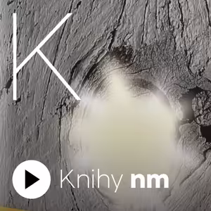 Neviditeľný režisér