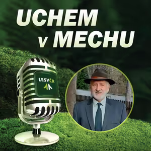 Nechránit prales před lidmi, ale lidi před pralesem - o nutném uzavření několika cest na Boubíně s ředitelem tamějšího lesního závodu Milošem Juhou