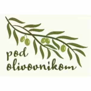 Pod olivovníkom - Michol, žena Dávidova