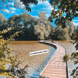 120. Vestecký rybník