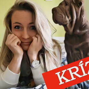 Ako zvládnuť kritiku? #21 Nedeľná Omša