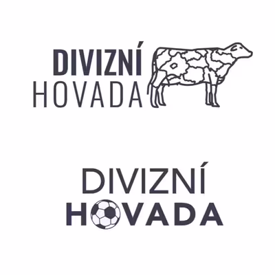 #DIVIZNIHOVADA