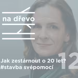 JAK ZESTÁRNOUT O 20 LET? #stavba svépomocí #12