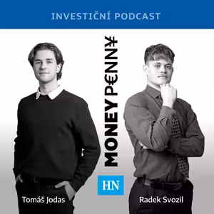Peníze tečou do čipových firem, nudné byznysy sedí v koutě. A tam jsou příležitosti, říká investor