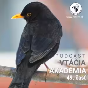 Dnes to bude o kolonizácii vtákov.