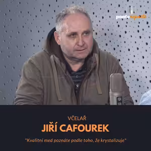 Jiří Cafourek – včelař: Kvalitní med poznáte podle toho, že krystalizuje