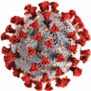 Výskumné úlohy v súvislosti s témou dopadov COVID-19