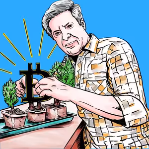 Kryptokanárci #1 - Začínáme od podlahy