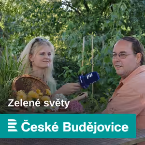 Duše zahradníka v zimě trpí. Vybíráme proto tři tipy, jak překonat nevlídné chladné období