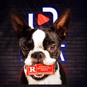 Vocasy na tripu jsou parádní a vulgární psina, geniální trailer nelhal | Recenze do uší