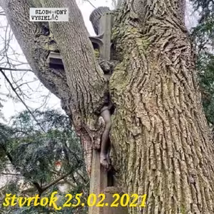 Spirituálny kapitál 347 - 2021-02-25 Infovojna v cirkvi