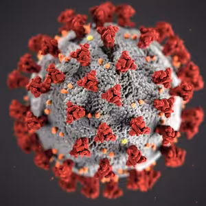 Korona vírus - ako ostať myslou pozitívny a na testy negatívny