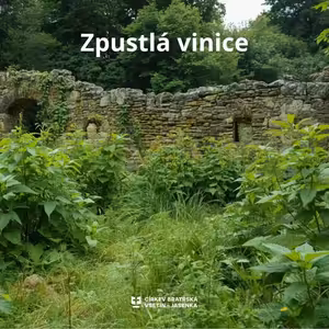 Kázání: Stanislav Chromčák - Zpustlá vinice