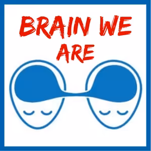 190: Bloudivý Nerv a Stres! Jak Se Kvalitně Uklidnit? - Věda, Fakta, Nástroje a Praktiky