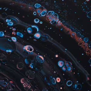 Má evolúcia cieľ?