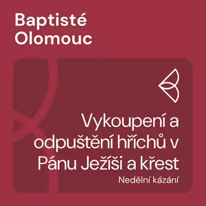 Vykoupení a odpuštění hříchů v Pánu Ježíši a křest (18.8.2024)