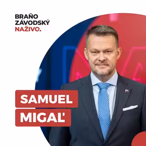 Migaľ: O povalení vlády Pellegrinim nehovorím na pokyn Fica