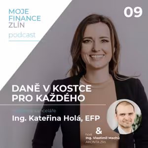 Daně v kostce pro každého