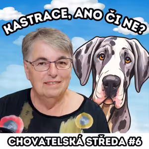❓KASTRACE, ano či ne❓| Chovatelská středa #6